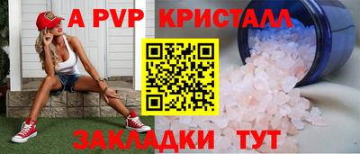 стаф Кингисепп