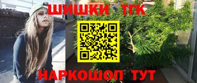 стаф Кингисепп