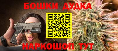стаф Кингисепп