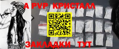 стаф Кингисепп