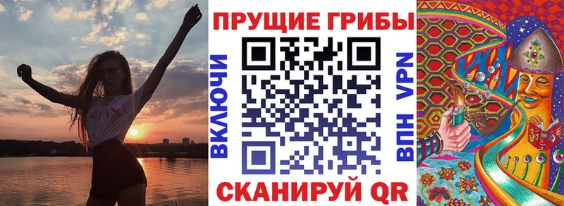 mega рабочий сайт Кудымкар Псилоцибиновые грибы прущие грибы