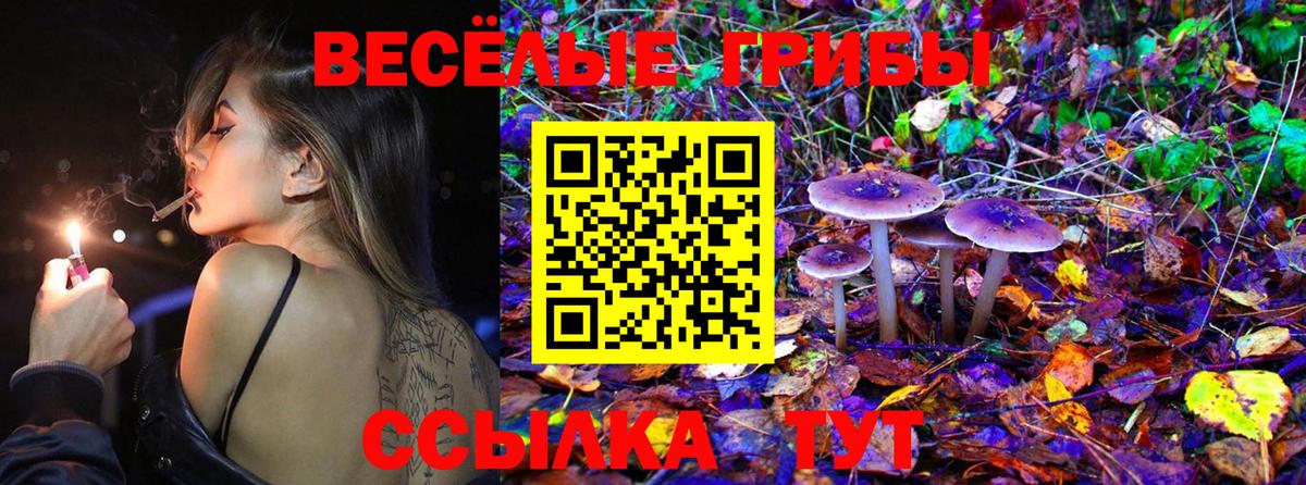 Псилоцибиновые грибы Psilocybine cubensis Кудымкар