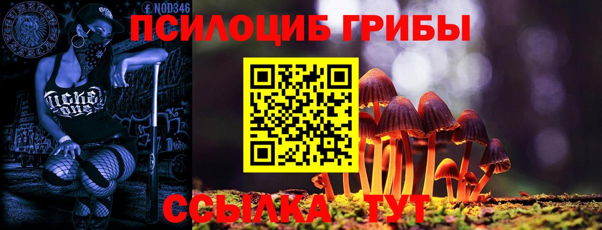 Кудымкар  Галлюциногенные грибы ЛСД  Вход с VPN 